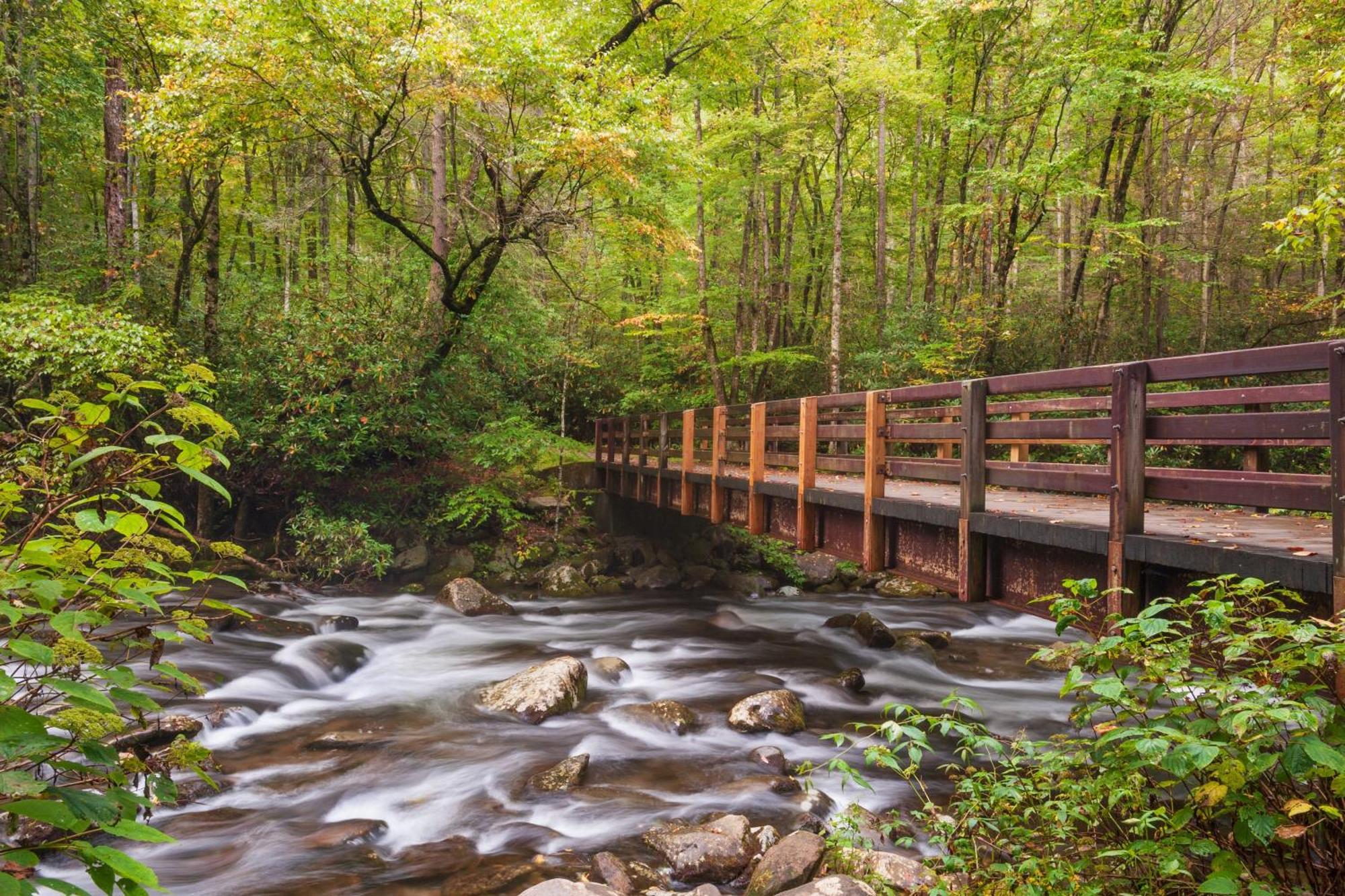 Wilderness Lodge, Hot Tub, Game Room, Pool Access, 1089 Free Tickets Each Paid Day, Dollywood And M Sevierville Dış mekan fotoğraf